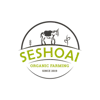 617f76_0be9ad9e973c4ce99d3e27daeb6170d2_mv2.png